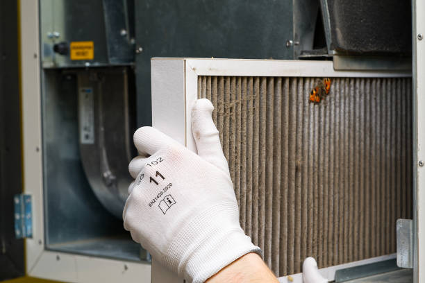 Air Duct Mold Removal in Clarkston Heights Vineland, WA